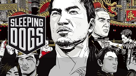 Sleeping Dogs Game