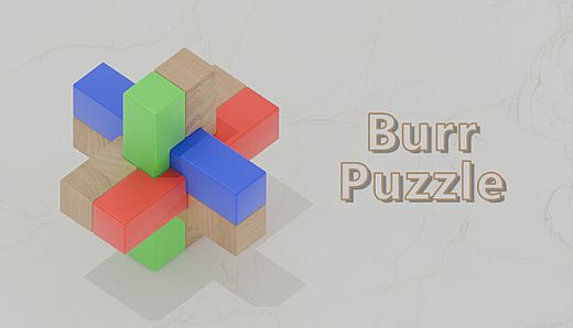 Burr Puzzle