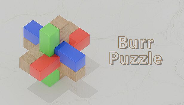 Buy Burr Puzzle