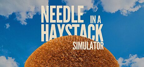 Needle In A Haystack Simulator Game