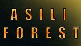 Asili Forest