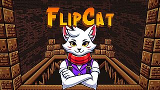 FlipCat Game