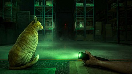 Order 13 VR Game