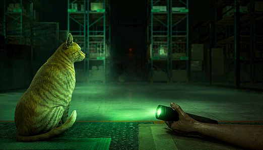 Order 13 VR