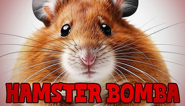 Buy Hamster Bomba