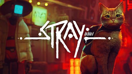 Stray Game