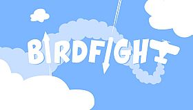 birdfight