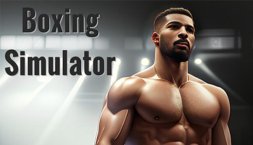 Boxing Simulator
