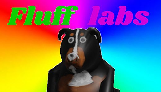 Fluff labs