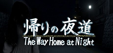 The Way Home at Night