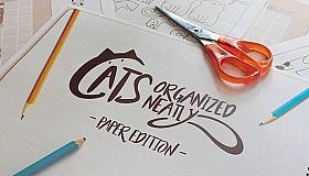 Cats Organized Neatly - Paper Edition