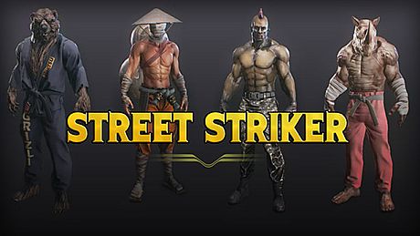 Street Striker Game
