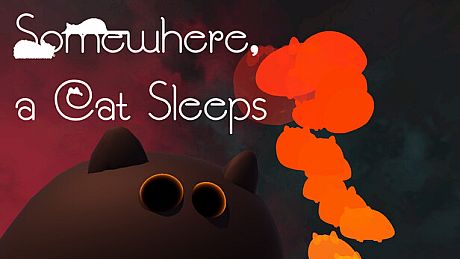 Somewhere, A Cat Sleeps