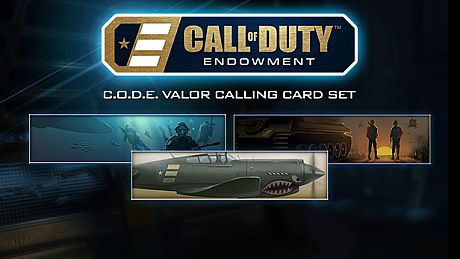 Call of Duty: Black Ops III - C.O.D.E. Valor Calling Cards DLC
