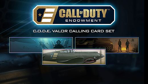 Call of Duty: Black Ops III - C.O.D.E. Valor Calling Cards