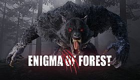 Enigma Of Forest