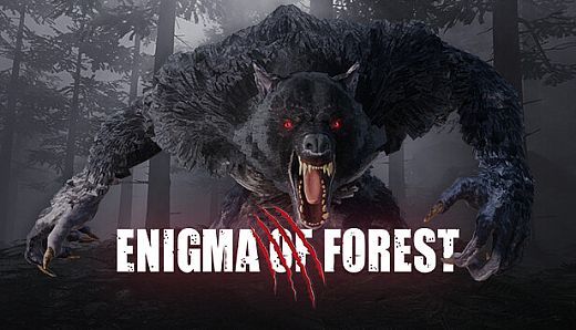 Enigma Of Forest