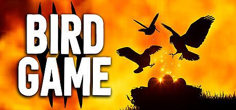 Birds of War Game