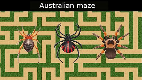 Australian maze Game