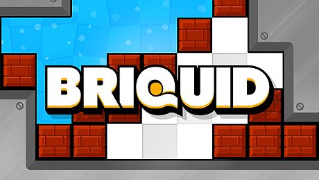 Briquid
