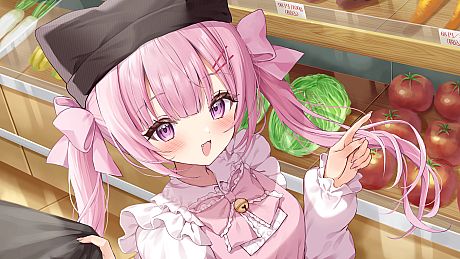 Nekomimi Days ~365 Days with You~ Game