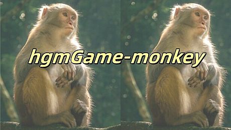 hgmGame-monkey Game
