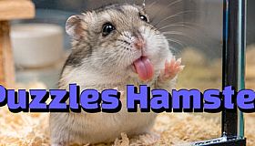 Puzzles Hamster