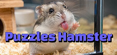 Puzzles Hamster Game