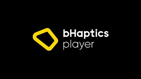 bHapticsPlayer Game