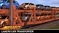 Trainz 2019 DLC: Laaers Car Transporter
