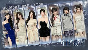 Mr Right Simulator