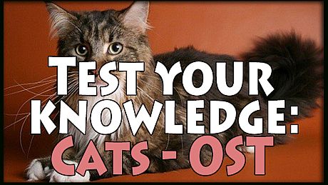 Test your knowledge: Cats - OST DLC