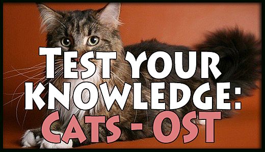 Test your knowledge: Cats - OST