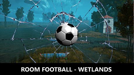 ROOM FOOTBALL - Wetlands Game