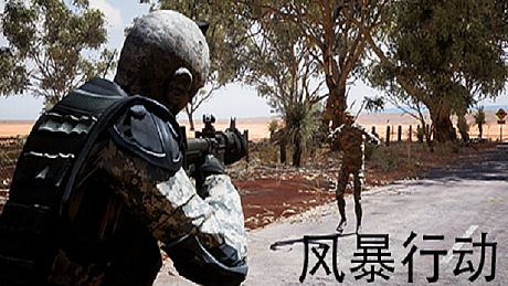 风暴行动 Game