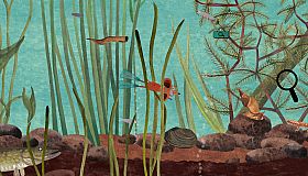 Little Mouse's Encyclopedia