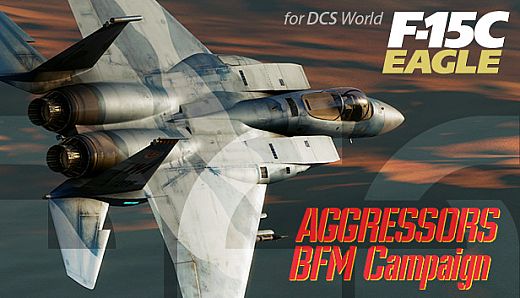 F-15C: Aggressors BFM Campaign
