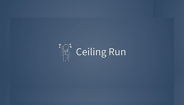 Buy Ceiling Run