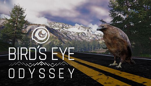 Bird's Eye Odyssey