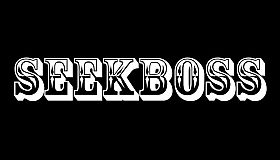 SEEKBOSS