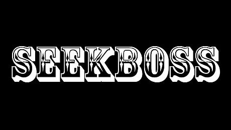SEEKBOSS Game