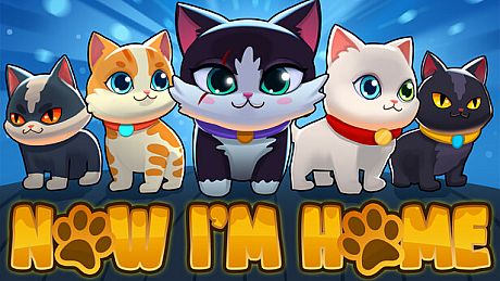 Cat Syndicate: Istanbul Game