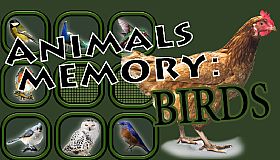 Animals Memory: Birds