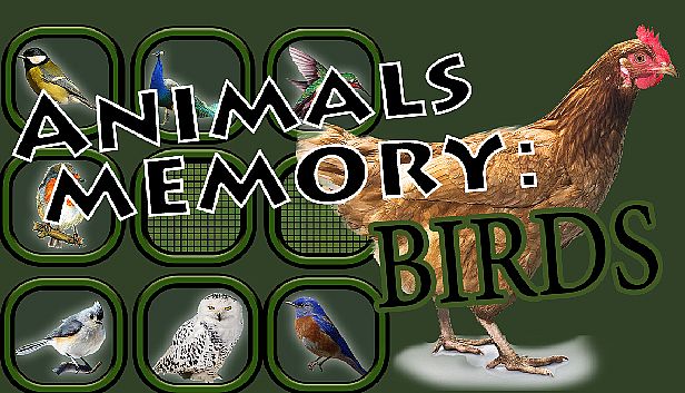Buy Animals Memory: Birds