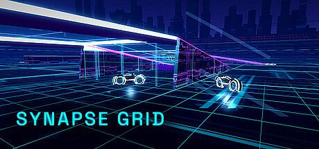 Synapse Grid