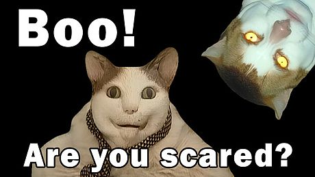 BOO! ARE YOU SCARED? Game