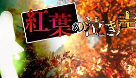 紅葉の泣き声