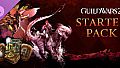 Guild Wars 2 Starter Pack