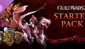 Guild Wars 2 Starter Pack