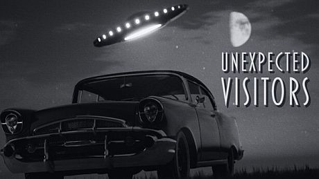 Unexpected Visitors Game